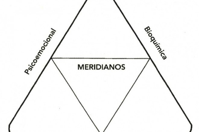 kinesiologia Touch For Health - Curso